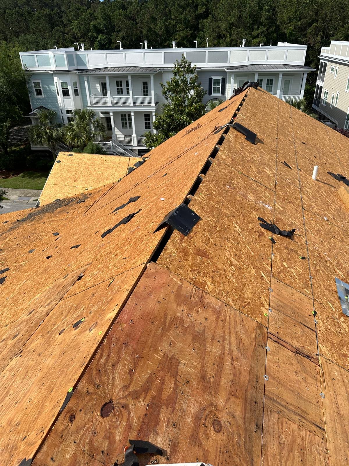 Imagen de WhatsApp 2025-07-31 a las 13.03.37_689a230f